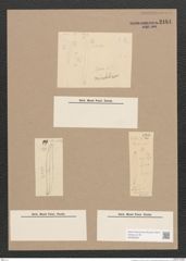 Pleurosigma sp. (de-Toni-Nr.: Genus 13) Zeichnungen Sammlung Grunow Nr. 2184 (NHMW-BOT-W0369253)